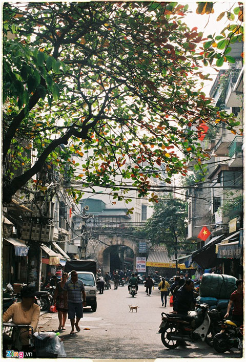 ngam ha noi dep nhu tranh trong mua la bang do ruc - 3