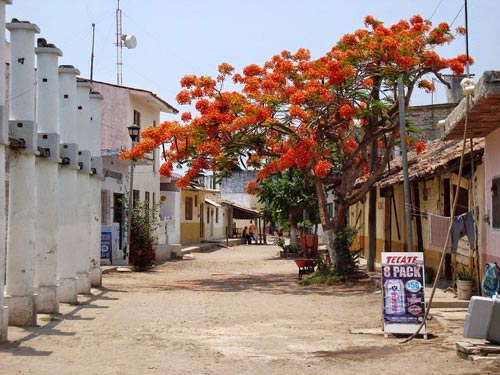 Ghé thăm ngôi làng trên hòn đảo nhân tạo ở Mexico - 3