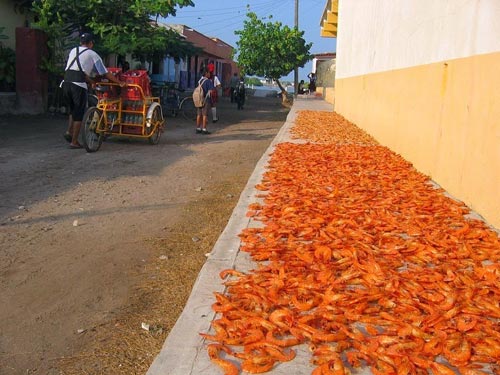 Ghé thăm ngôi làng trên hòn đảo nhân tạo ở Mexico - 7