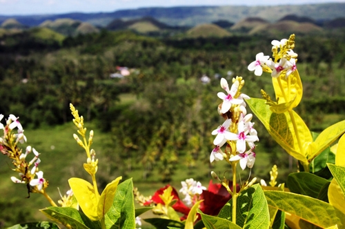 Những điểm du lịch tự nhiên đẹp 'mê hồn' ở Philippines - 5