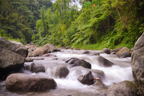 Những điểm du lịch tự nhiên đẹp 'mê hồn' ở Philippines - 6