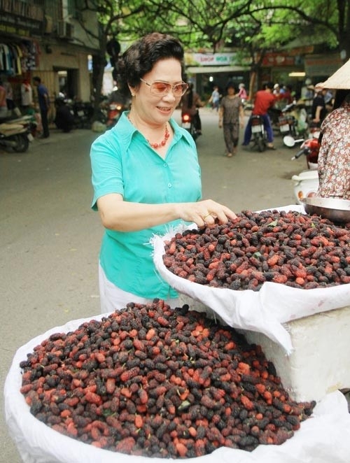 nhung mon trai cay hap dan dau he o ha noi-17