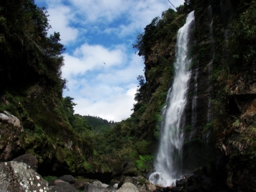 Những trải nghiệm đừng bỏ quên ở Philippines - 10