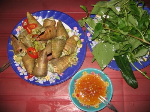 Ốc vú nàng - món ngon cù lao Chàm - 3