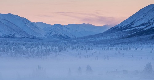 Oymyakon-forests.jpg