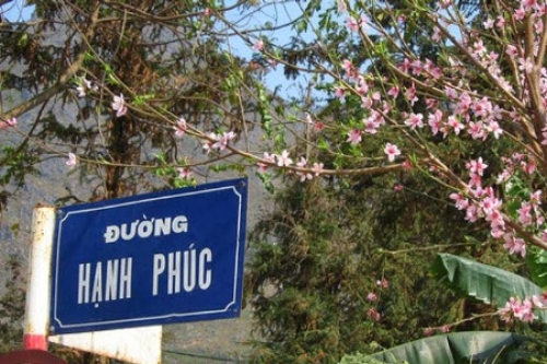 Rong ruổi trên con đường mang tên Hạnh Phúc - 4