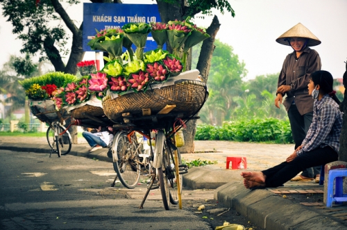 Rực sỡ sắc hoa trên đường phố Hà Nội - 2