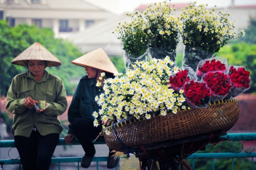 Rực sỡ sắc hoa trên đường phố Hà Nội - 5