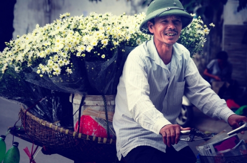 Rực sỡ sắc hoa trên đường phố Hà Nội - 6