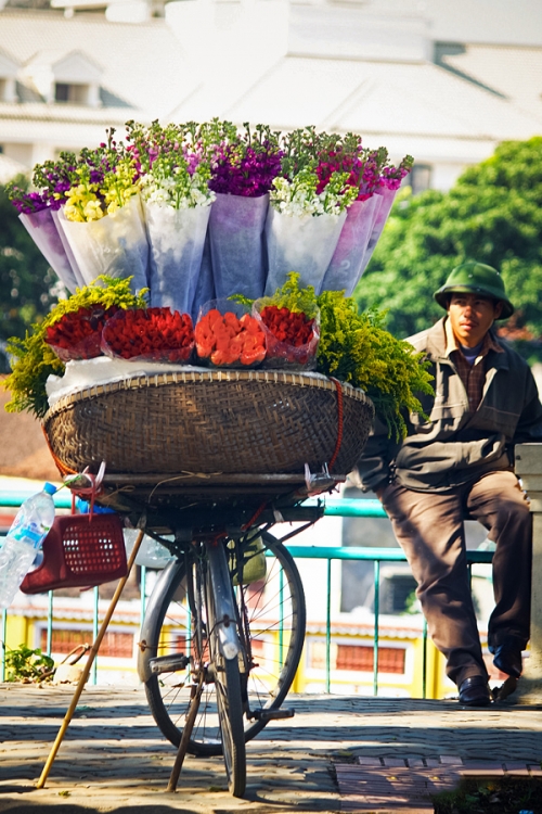 Rực sỡ sắc hoa trên đường phố Hà Nội - 8