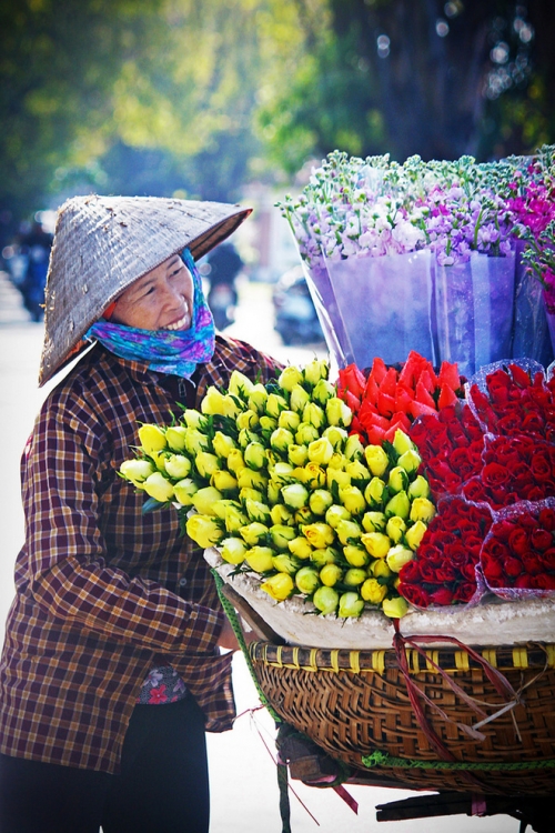 Rực sỡ sắc hoa trên đường phố Hà Nội - 9