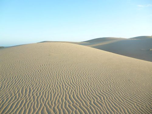Sa mạc trên vùng đất nắng Ninh Thuận - 1