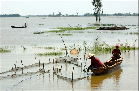 Sao anh không về chơi thôn Vĩ… - 1