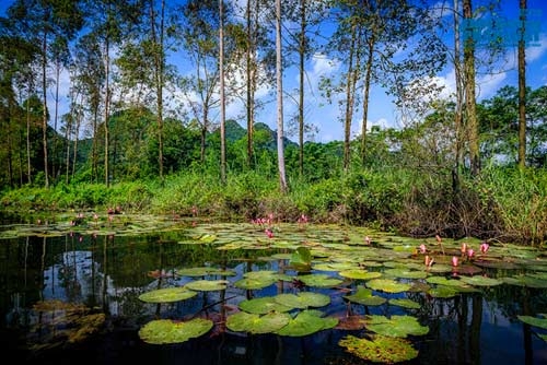 Say đắm cảnh đẹp mùa thu trên dòng suối Yến - 6