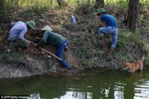 Thịt chuột đồng - Món ăn Việt 'kinh dị' trên báo nước ngoài - 12