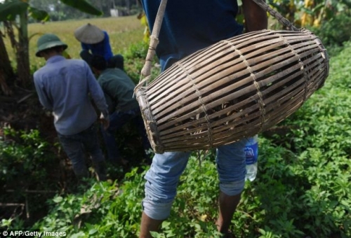 Thịt chuột đồng - Món ăn Việt 'kinh dị' trên báo nước ngoài - 8