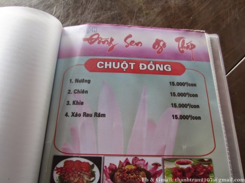 Thịt chuột miền tây - Đặc sản khó quên.ảnh 2