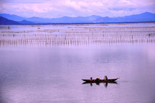 Thu về trên phá Tam Giang - 3