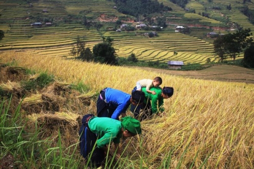 Vẻ đẹp bình yên của Xín Mần - Hà Giang - 8