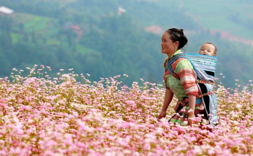 Vẻ đẹp bình yên của Xín Mần - Hà Giang - 9