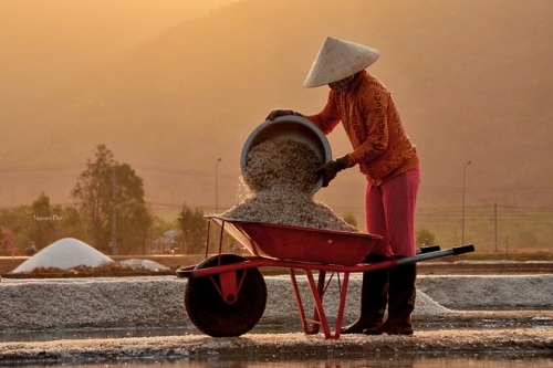 Vẻ đẹp diêm dân trên ruộng muối Long Điền - 9