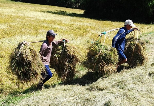 Vẻ đẹp hoang sơ và yên bình của vùng đất Phú Yên - 7