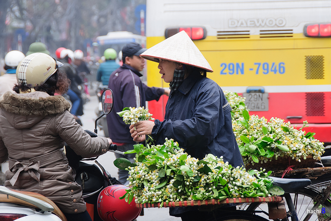 ve dep tinh khiet cua hoa buoi hoa chanh-4