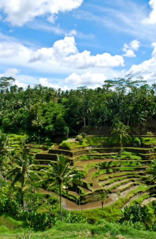 Vẻ yên bình của ngôi làng Bali - 1