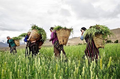 'Vương quốc bị lãng quên' ẩn khuất trong dãy Himalaya - 8