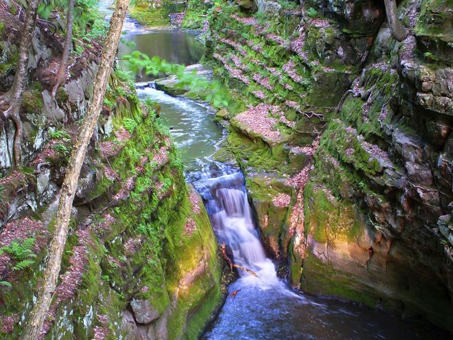 Wisconsin, một vẻ thanh bình và hoang dã - 9